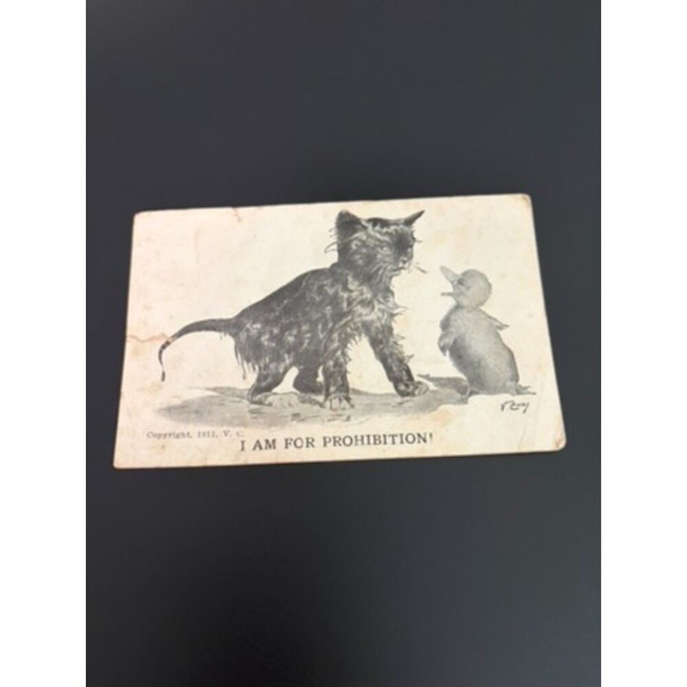 1911 V.C. postcard "I am for Prohibition". with kitten and duck